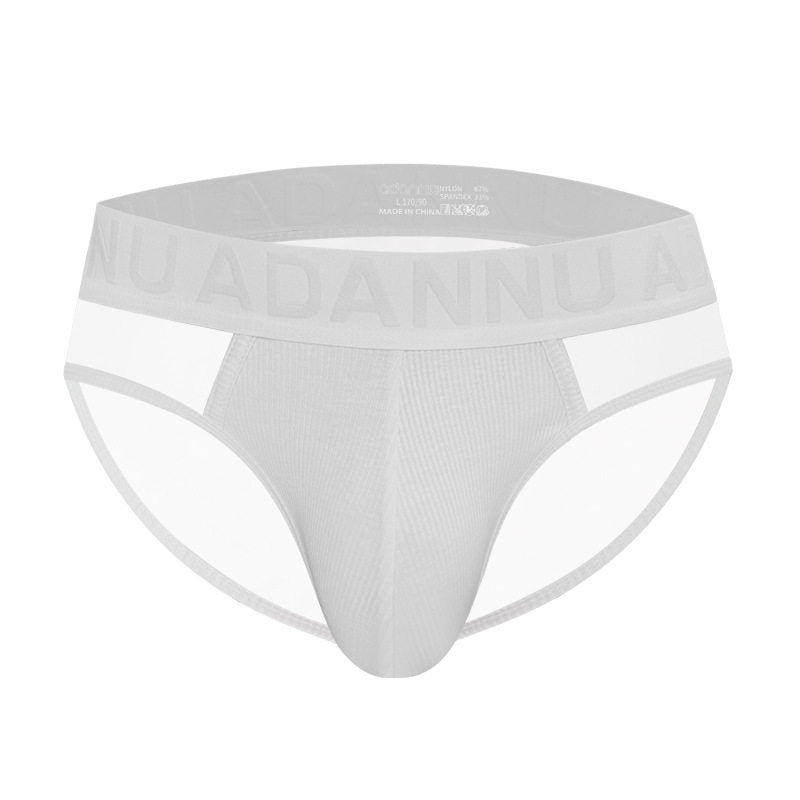 Sheer Mesh Panel Contour Pouch Brief