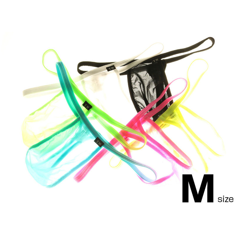 Translucent Sheer Pouch Low Rise Thong