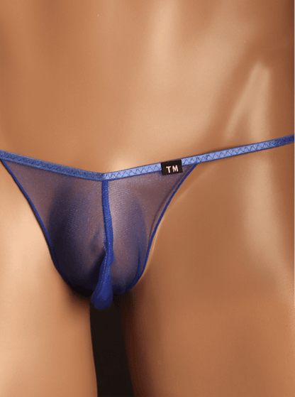 Alternate product view of See Through Large Pouch Mesh Thong