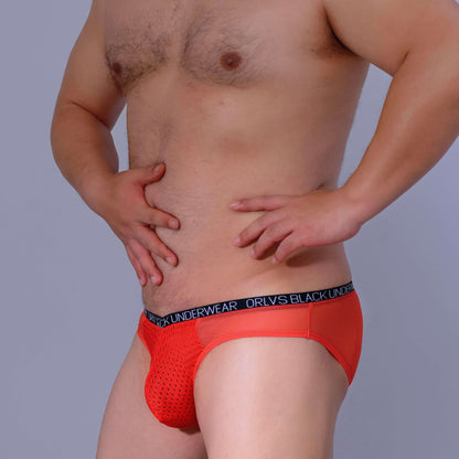 Sport Mesh Pouch Sheer Back Briefs shown in product view alternate angle