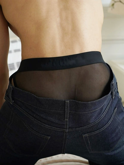 Black Sheer Mesh Panel Contour Pouch Brief product view