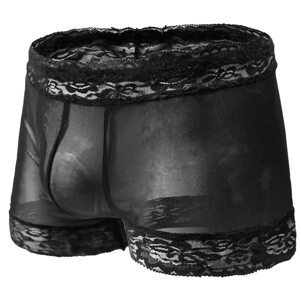 Sheer Mesh Floral Lace Trim Boxers