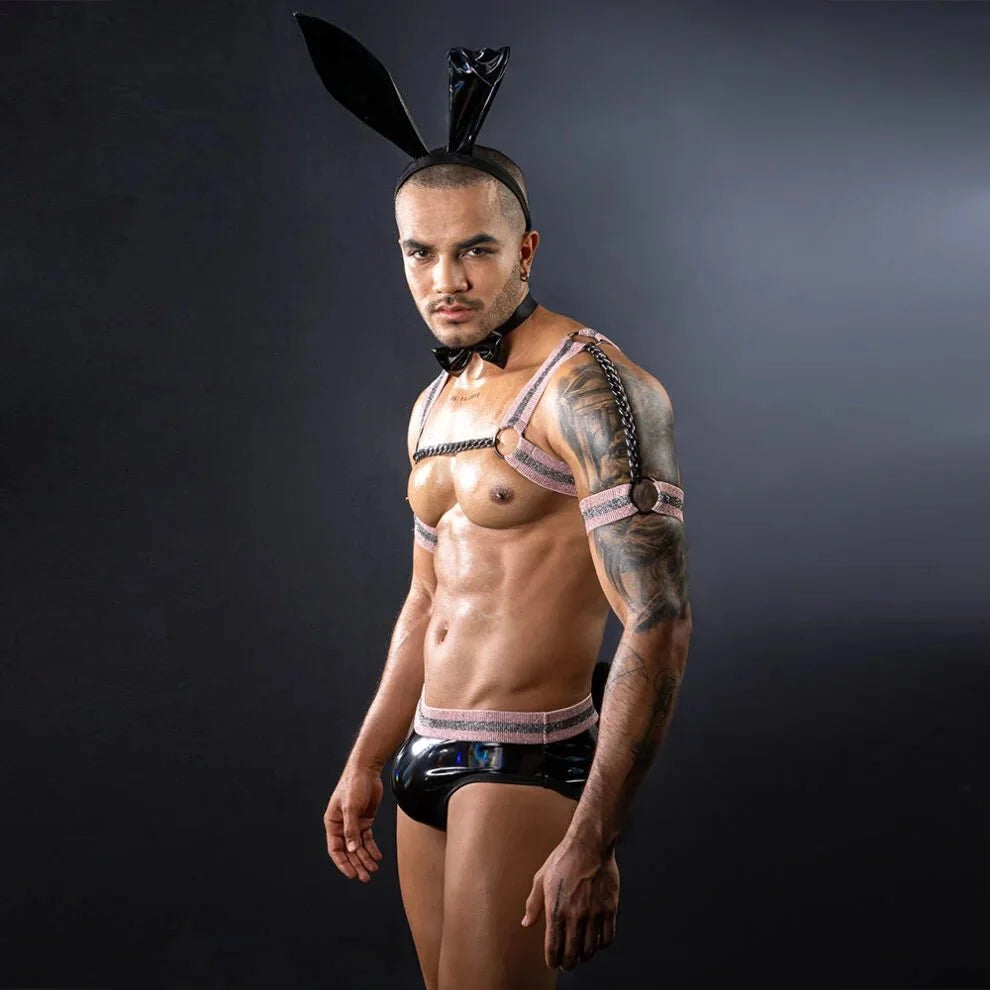 Bunny Harness Wet Look Costume Set additional product view