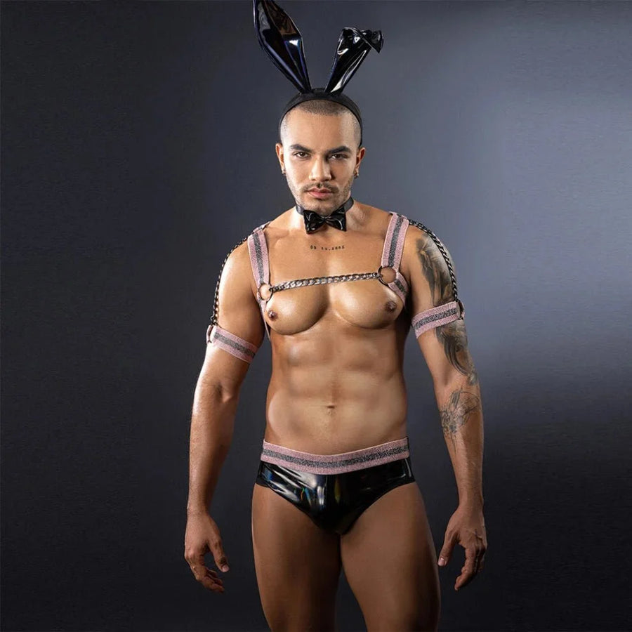 Bunny Harness Wet Look Costume Set product view