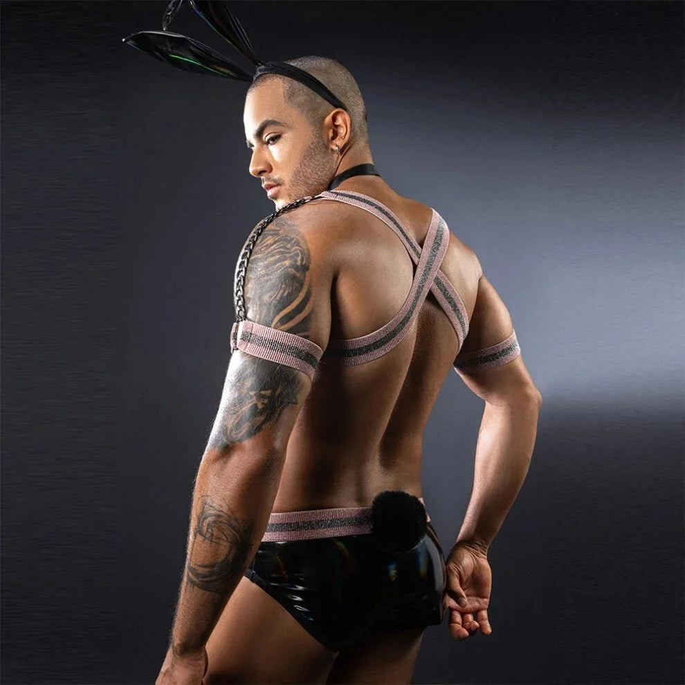 Bunny Harness Wet Look Costume Set alternate product view