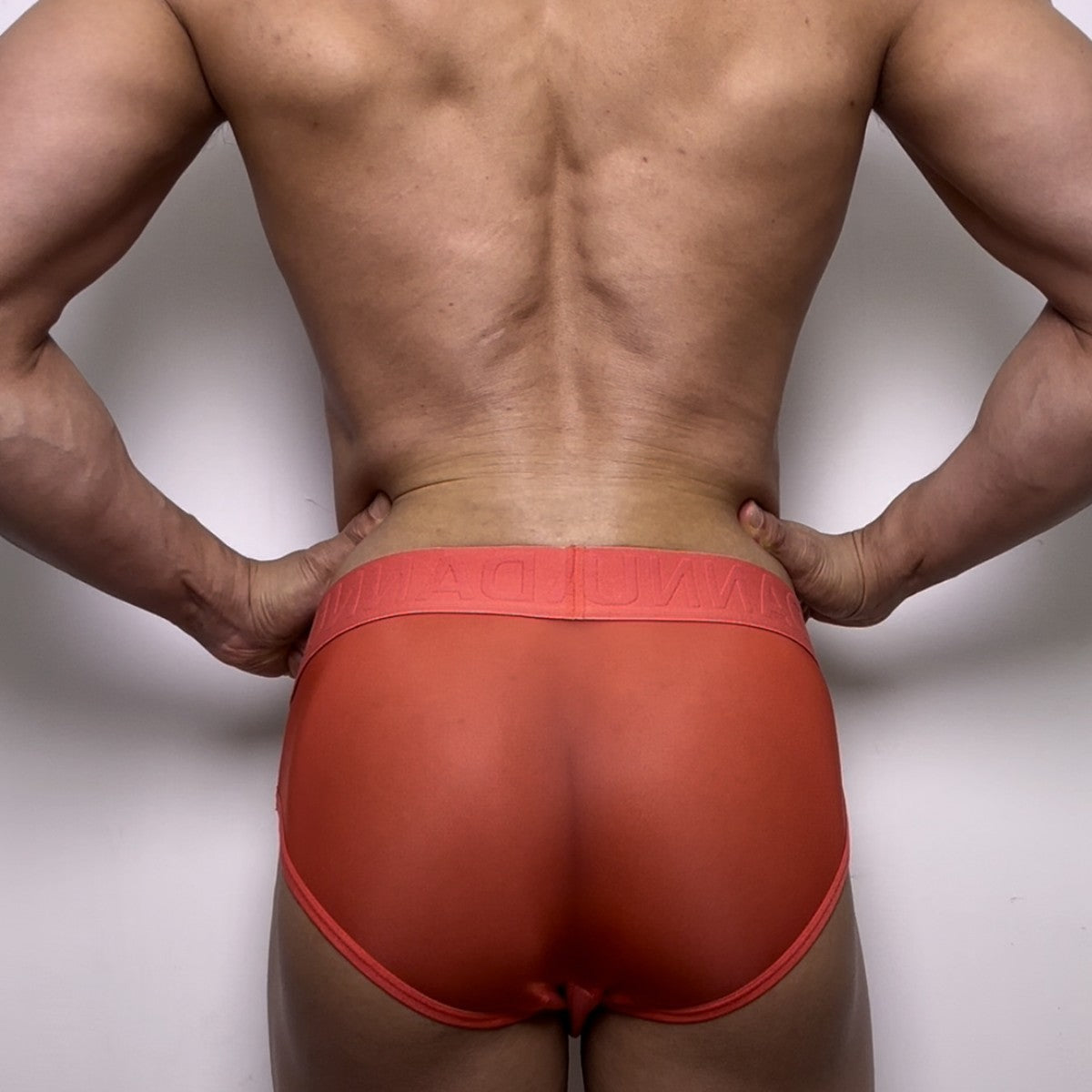 Coral Sheer Mesh Panel Contour Pouch Brief rear fit on model
