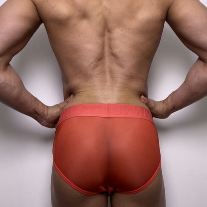 Coral Sheer Mesh Panel Contour Pouch Brief rear fit on model