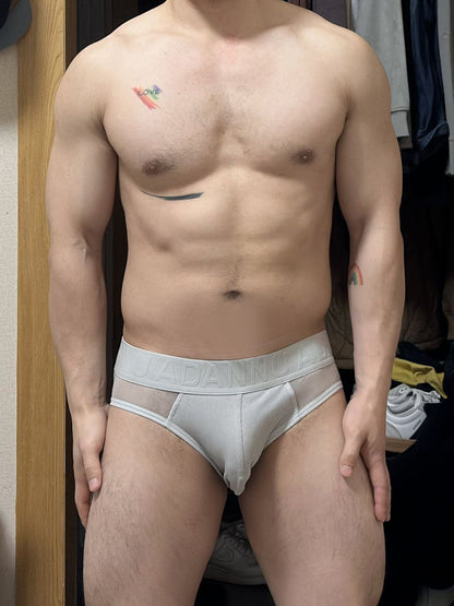 Gray Sheer Mesh Panel Contour Pouch Brief model view