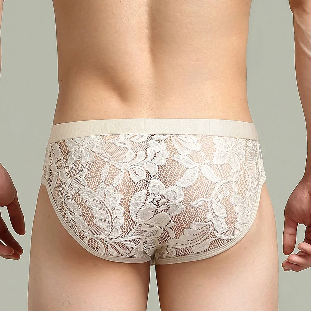 Ivory Sheer Floral Lace Contour Pouch Briefs rear view