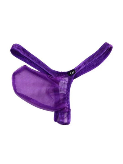 Purple See Through Mesh Elephant Trunk G String flat lay