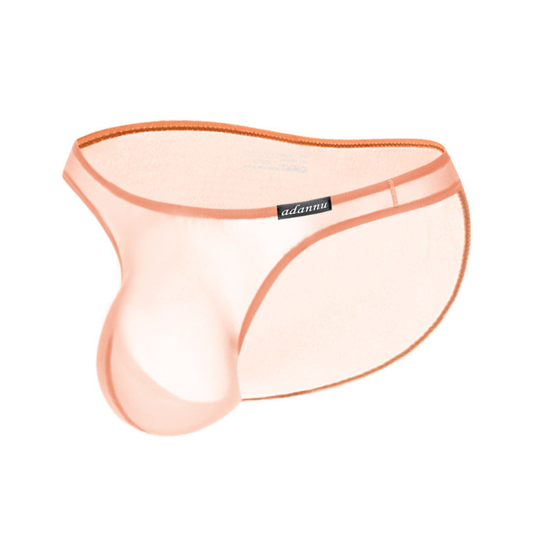 Ultra Thin Sheer Low Rise Bikini Brief