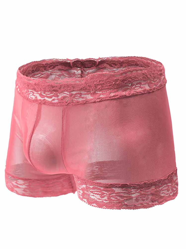 Pink Sheer Mesh Floral Lace Trim Boxers flat lay