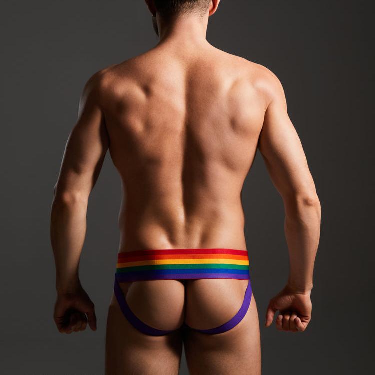 Rainbow Rainbow Pride Wide Waistband Jockstrap back view