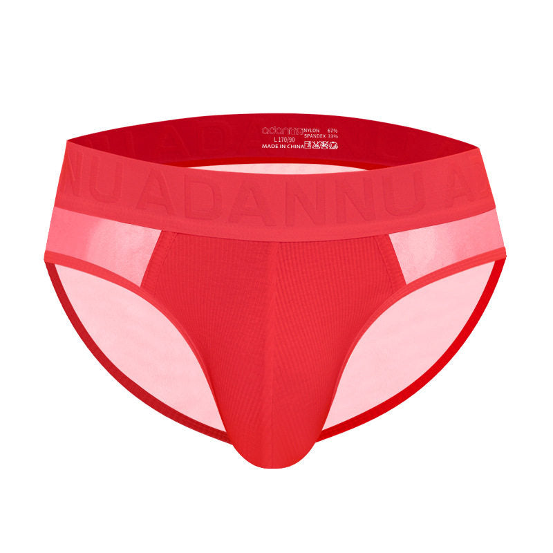 Sheer Mesh Panel Contour Pouch Brief