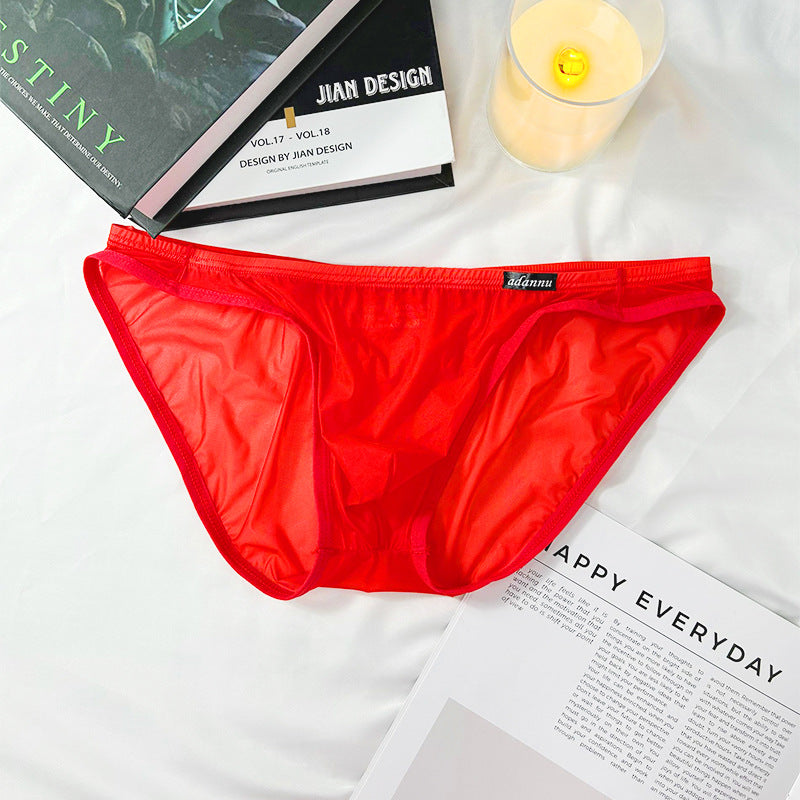 Red Ultra Thin Sheer Low Rise Bikini Brief flat lay