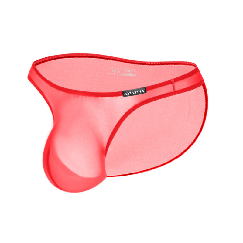Ultra Thin Sheer Low Rise Bikini Brief