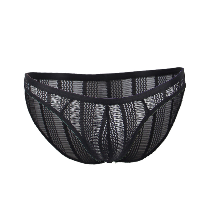 Sheer Black Mesh Low Rise Bikini Brief