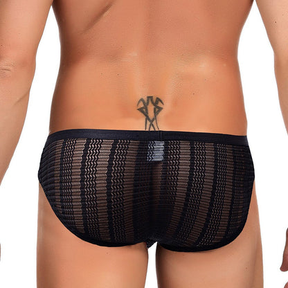 Sheer Black Mesh Low Rise Bikini Brief rear view