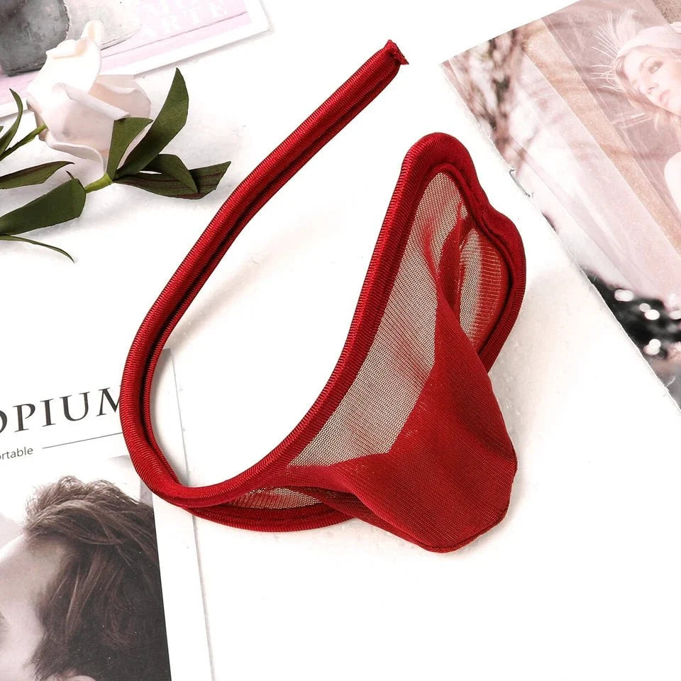 Sheer Mesh Transparent Pouch C String alternate view 10