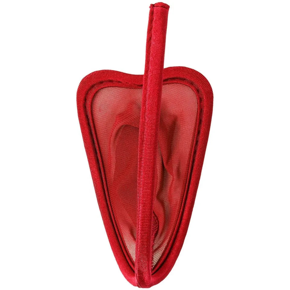 Sheer Mesh Transparent Pouch C String