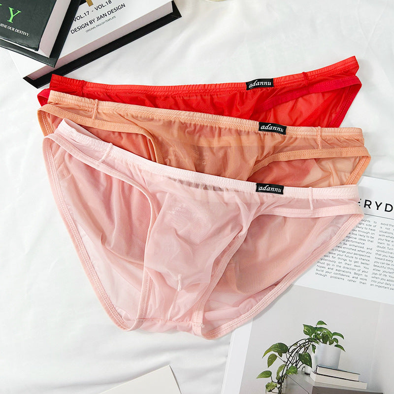 Ultra Thin Sheer Low Rise Bikini Brief