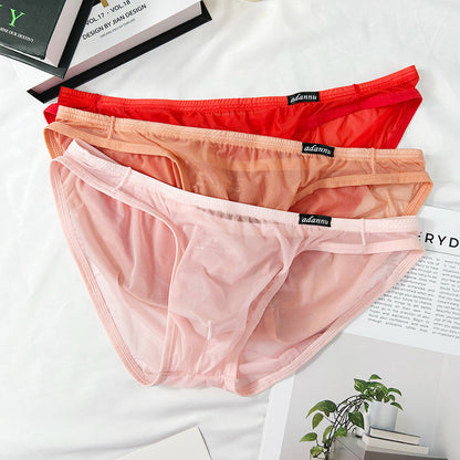 Ultra Thin Sheer Low Rise Bikini Brief