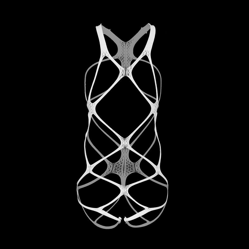 Sheer Mesh Open Crotch Bodystocking
