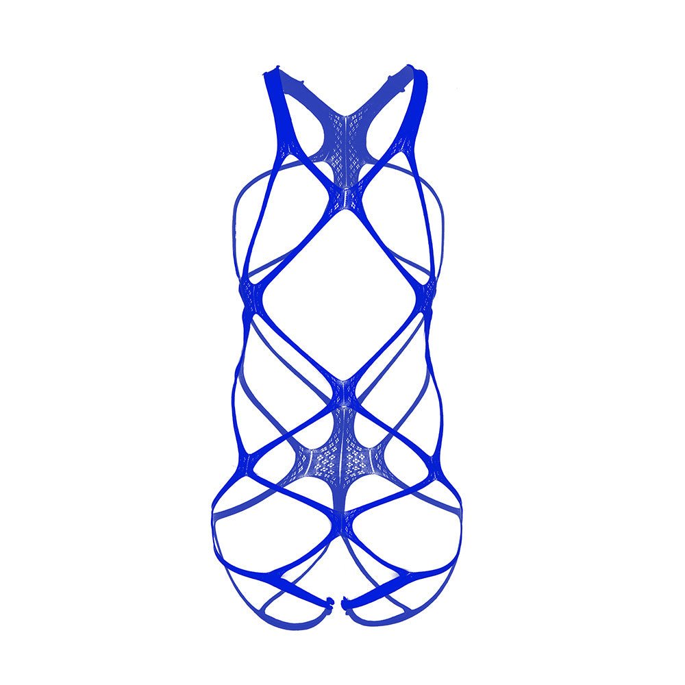 Sheer Mesh Open Crotch Bodystocking