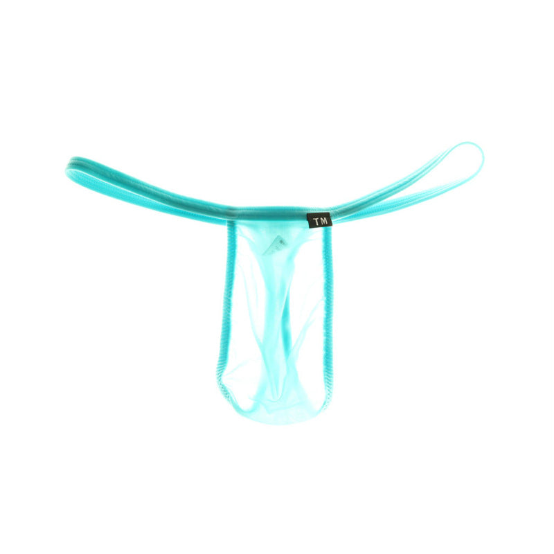 Sky Blue Translucent Sheer Pouch Low Rise Thong flat lay