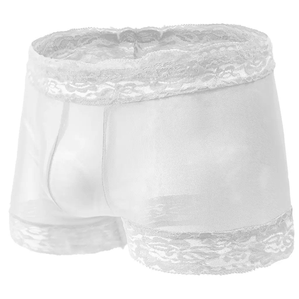 Sheer Mesh Floral Lace Trim Boxers